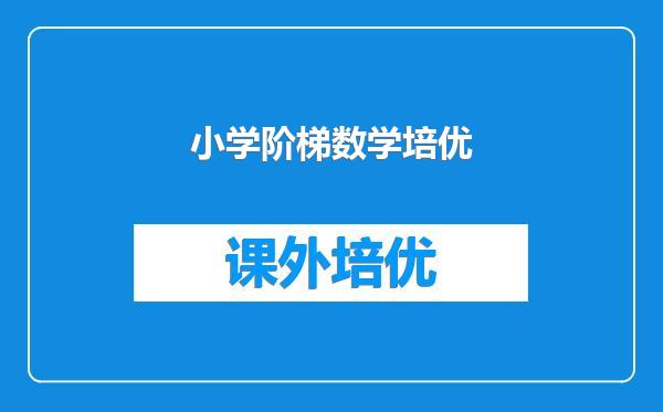 小学阶梯数学培优