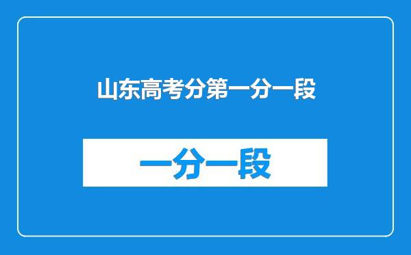 山东高考分第一分一段