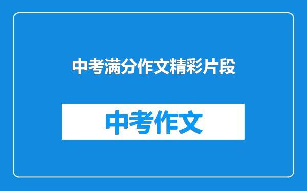 中考满分作文精彩片段