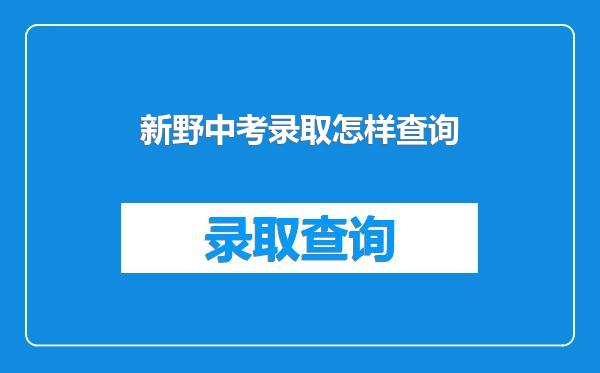 新野中考录取怎样查询