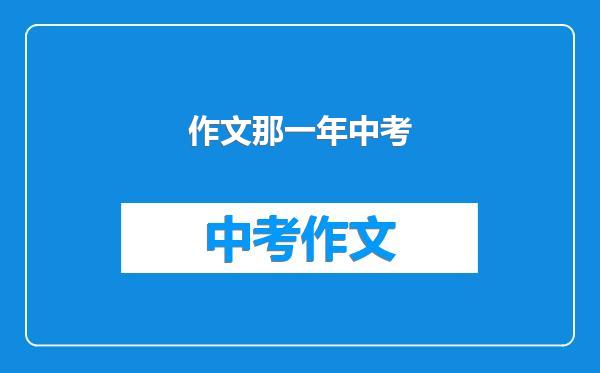 作文那一年中考