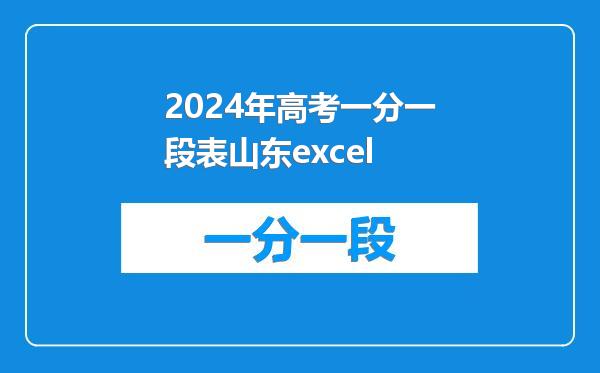 2024年高考一分一段表山东excel