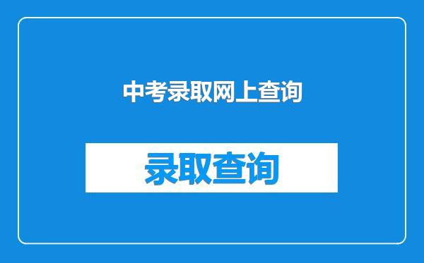 中考录取网上查询