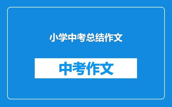小学中考总结作文