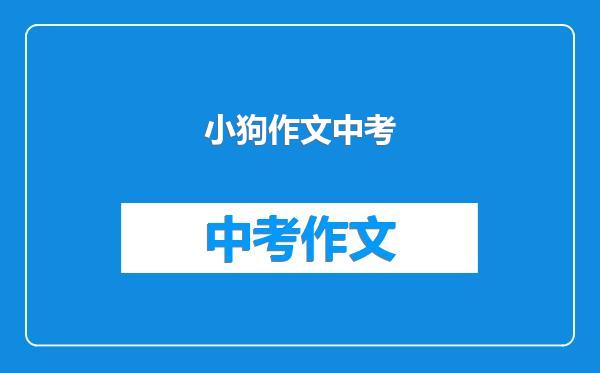 小狗作文中考
