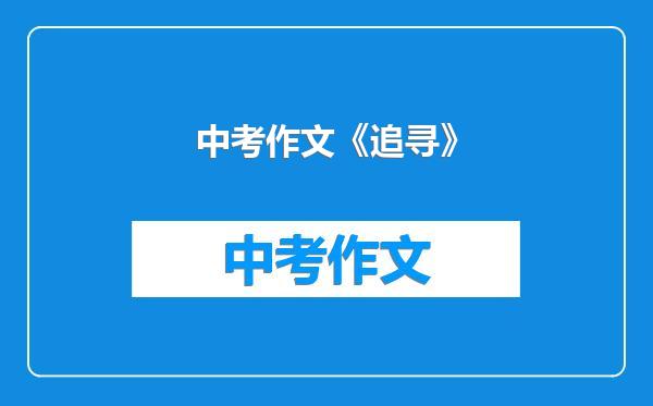 中考作文《追寻》