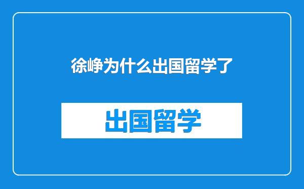徐峥为什么出国留学了