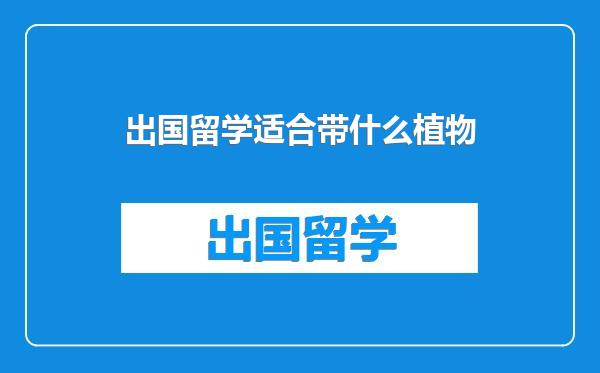 出国留学适合带什么植物