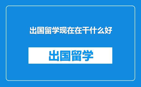 出国留学现在在干什么好