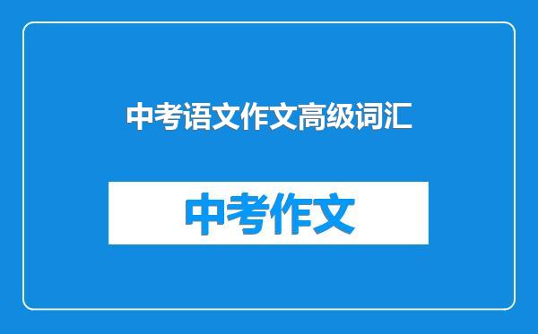中考语文作文高级词汇