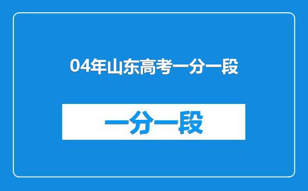 04年山东高考一分一段