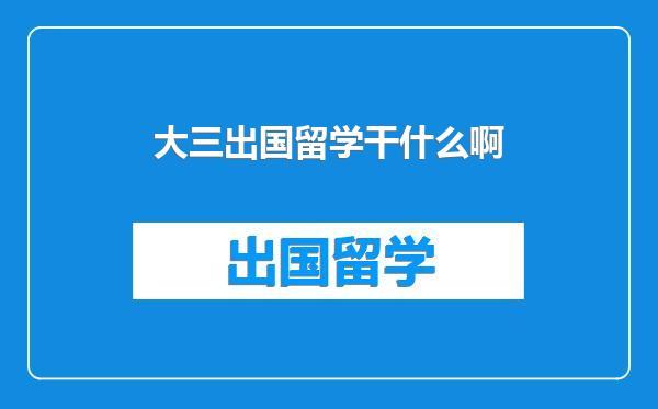 大三出国留学干什么啊
