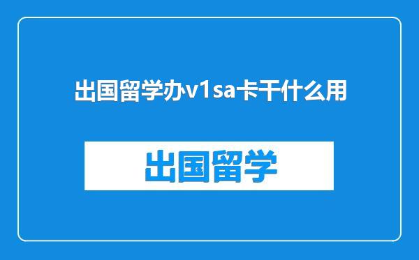 出国留学办v1sa卡干什么用