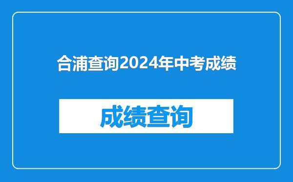 合浦查询2024年中考成绩