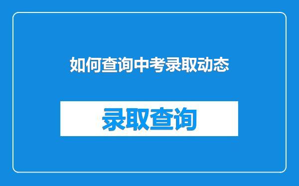 如何查询中考录取动态