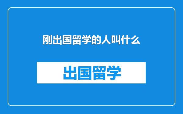 刚出国留学的人叫什么