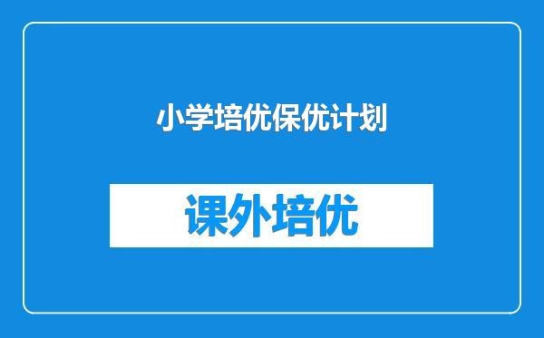 小学培优保优计划