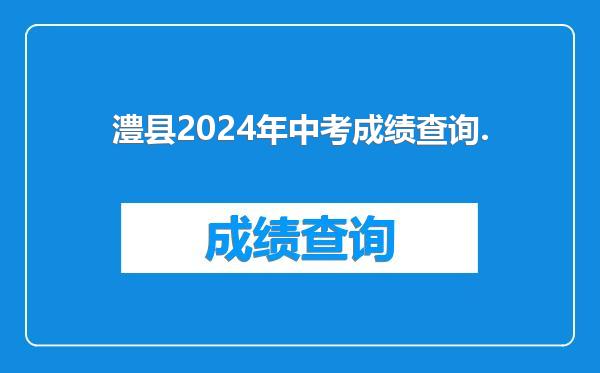 澧县2024年中考成绩查询.