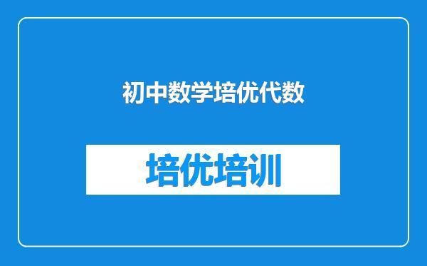 初中数学培优代数