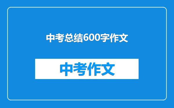 中考总结600字作文