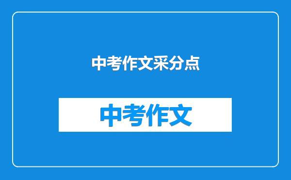 中考作文采分点