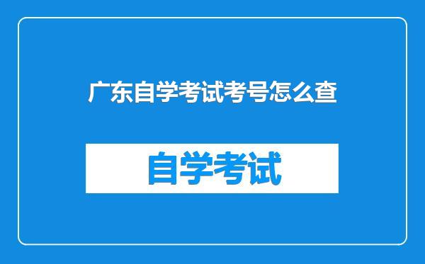 广东自学考试考号怎么查