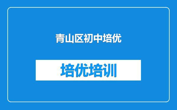 青山区初中培优