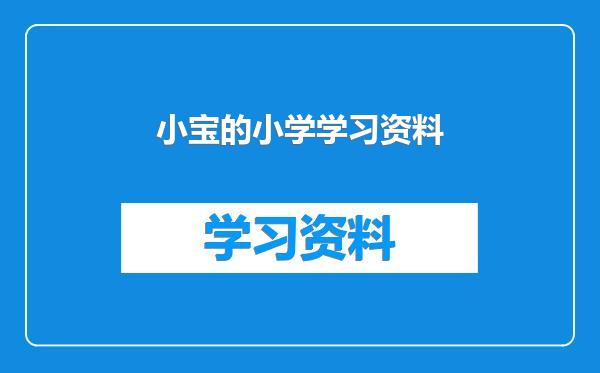 小宝的小学学习资料
