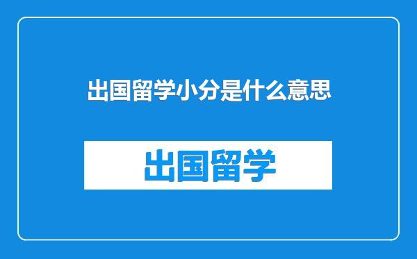 出国留学小分是什么意思