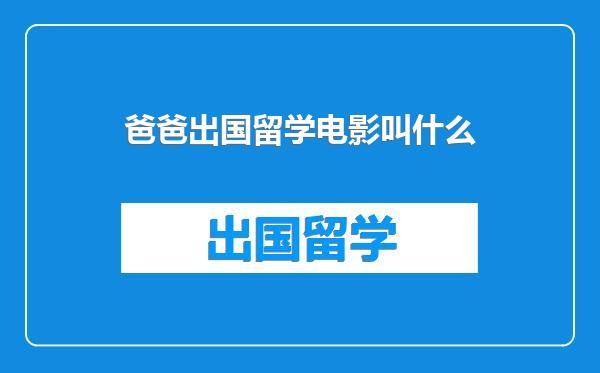 爸爸出国留学电影叫什么