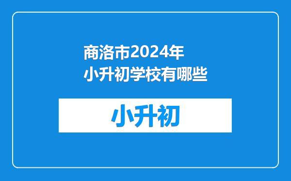 商洛市2024年小升初学校有哪些