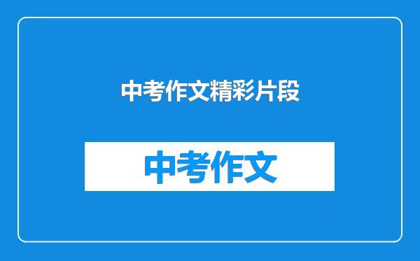 中考作文精彩片段