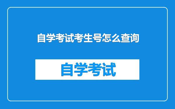 自学考试考生号怎么查询