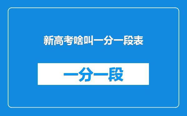 新高考啥叫一分一段表