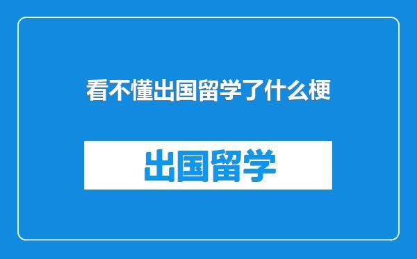 看不懂出国留学了什么梗