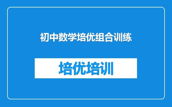 初中数学培优组合训练