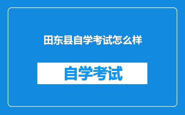田东县自学考试怎么样