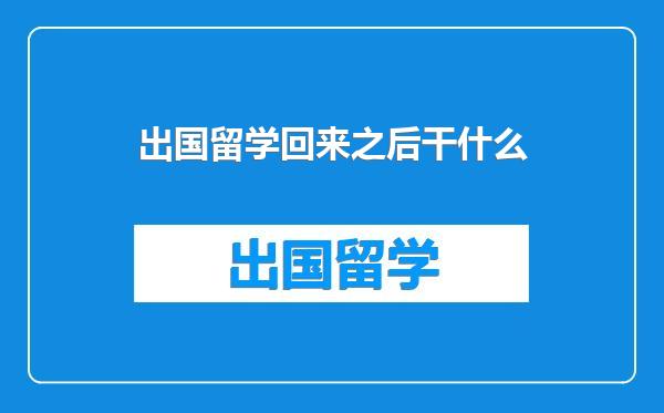 出国留学回来之后干什么