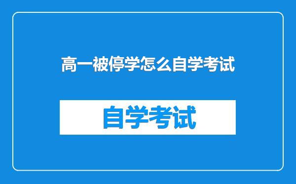 高一被停学怎么自学考试