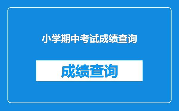 小学期中考试成绩查询