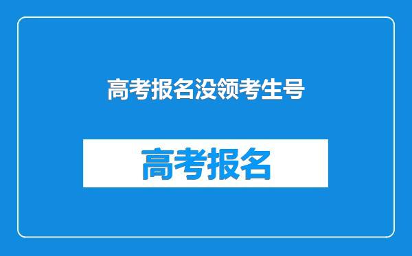 高考报名没领考生号