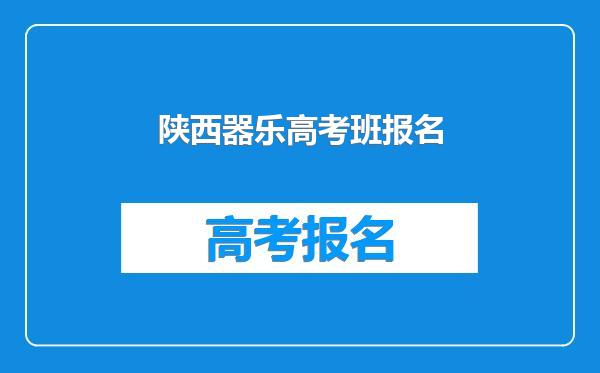 陕西器乐高考班报名