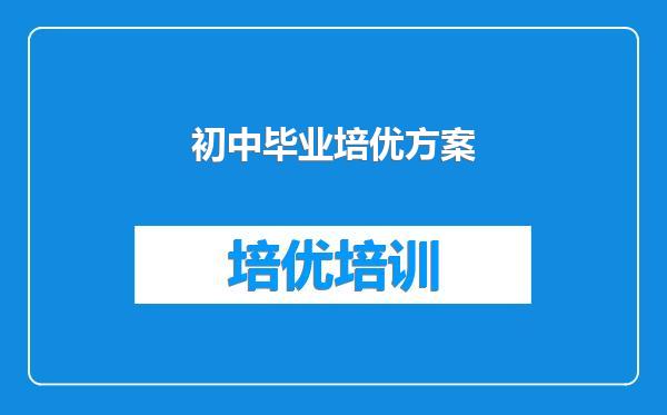 初中毕业培优方案