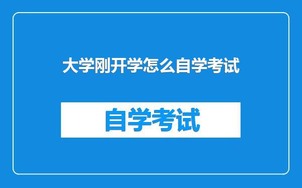大学刚开学怎么自学考试