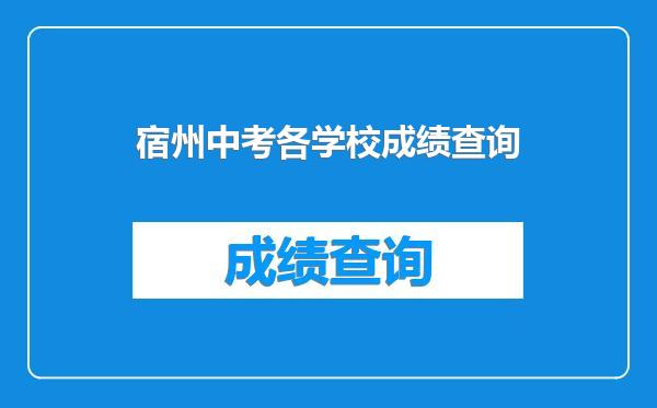 宿州中考各学校成绩查询