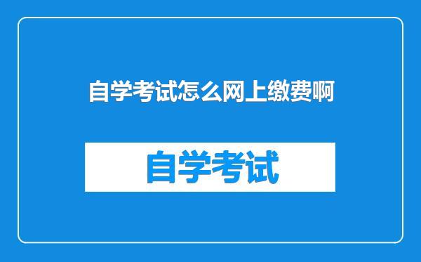 自学考试怎么网上缴费啊