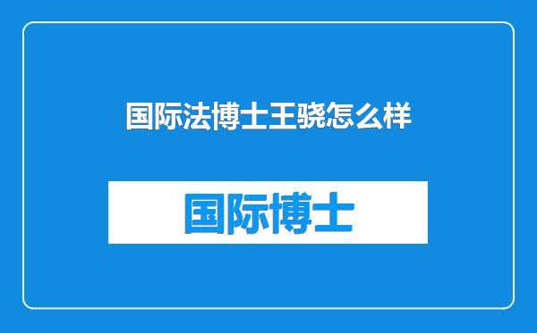 国际法博士王骁怎么样
