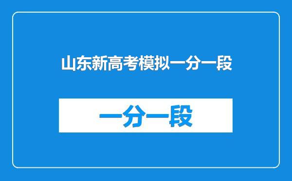 山东新高考模拟一分一段