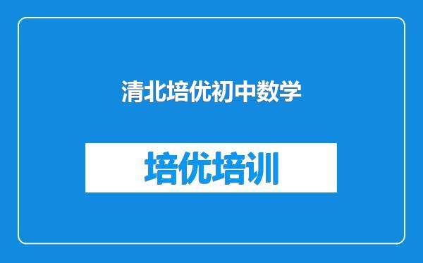 清北培优初中数学