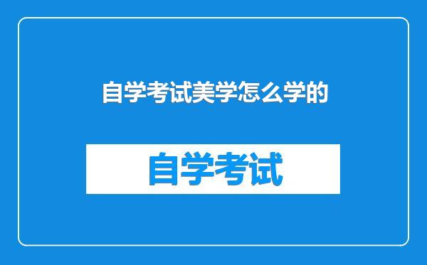 自学考试美学怎么学的